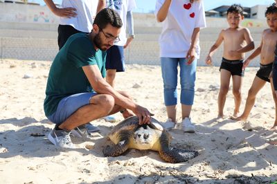 Tortue Marine